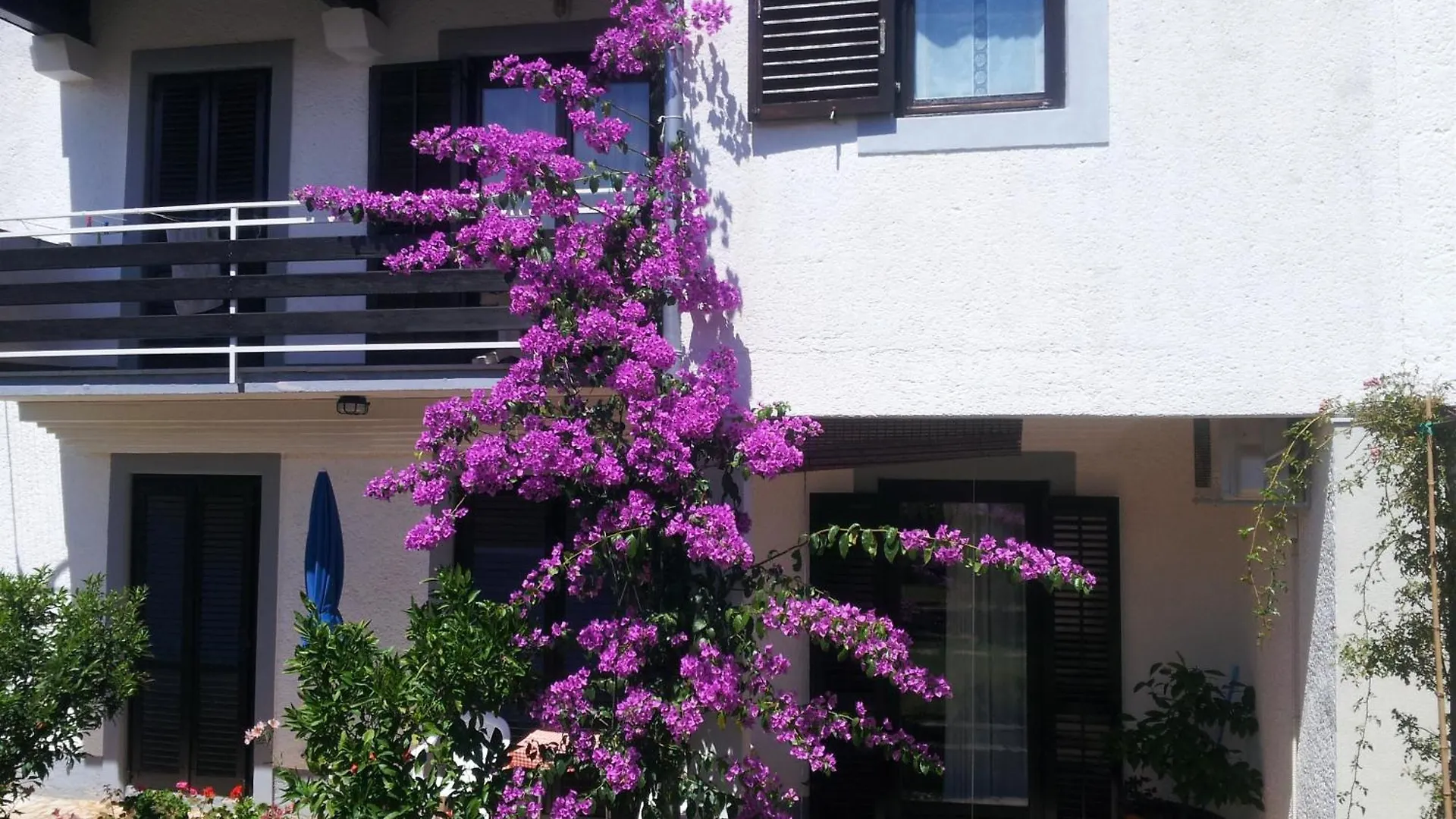 Apartments Barac Porec Croatia